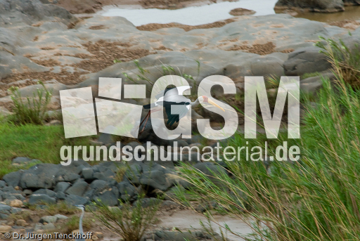 Nimmersatt (16 von 22).jpg